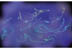 Memory Series
